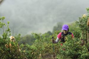 BIB: 
                            <button type="button" onclick="openModal(24739661)" class="btn btn-primary btn-sm float-right btn-popup" data-toggle="modal" data-target=".modal-high-quality">
                        <i class="fas fa-shopping-cart"></i> Add to Cart
                    </button>
                                            <button type="button" onclick="isThisMe(24739661, true)" class="btn btn-success btn-sm float-right btn-popup btn-isme hidden" data-toggle="tooltip" data-placement="bottom" title="นี่คือรูปของคุณใช่ไหม คลิกที่นี่เพื่อเอาเข้าอัลบั้ม">
                        <i class="fas fa-plus"></i> Add to album
                    </button>
                    <button type="button" onclick="isThisMe(24739661, false)" class="btn btn-warning btn-sm float-right btn-popup btn-isnotme hidden">
                        <i class="fas fa-ban"></i> Remove from album
                    </button>